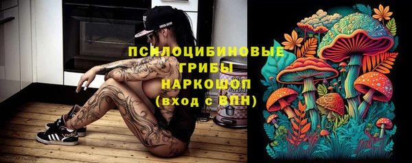 первитин Пестово