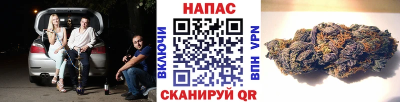 МАРИХУАНА Amnesia  МЕГА ТОР  Бавлы 